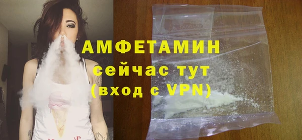 крисы Кулебаки