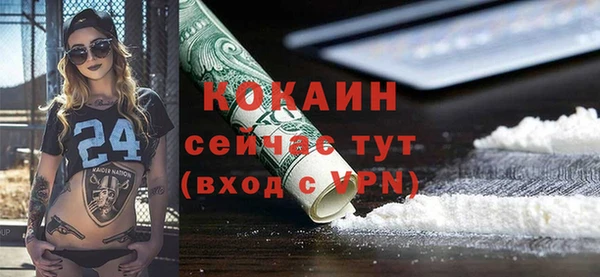 крисы Алексин