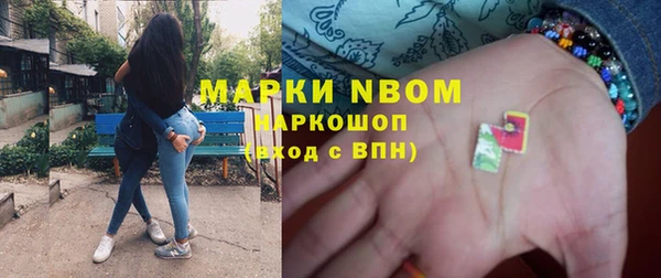 крисы Алексин