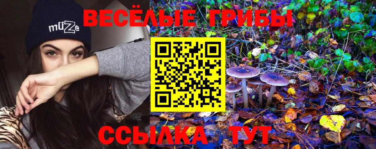 Псилоцибиновые грибы прущие грибы  Вход с VPN  Всеволожск 